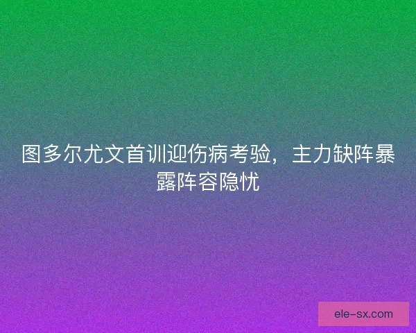 图多尔尤文首训迎伤病考验，主力缺阵暴露阵容隐忧